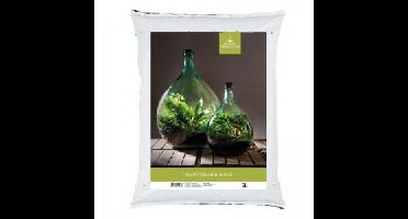 Planten Terrarium potgrond 5L